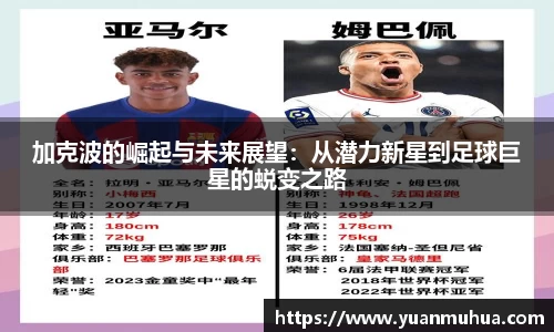 中欧体育官方网站